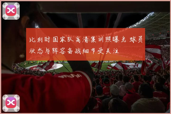 比利时国家队高清集训照曝光 球员状态与阵容备战细节受关注