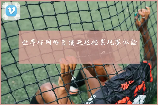 世界杯网络直播延迟拖累观赛体验