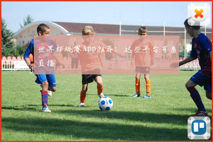 世界杯观赛App推荐:这些平台可看直播