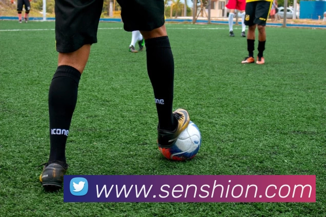 多媒体互动体验